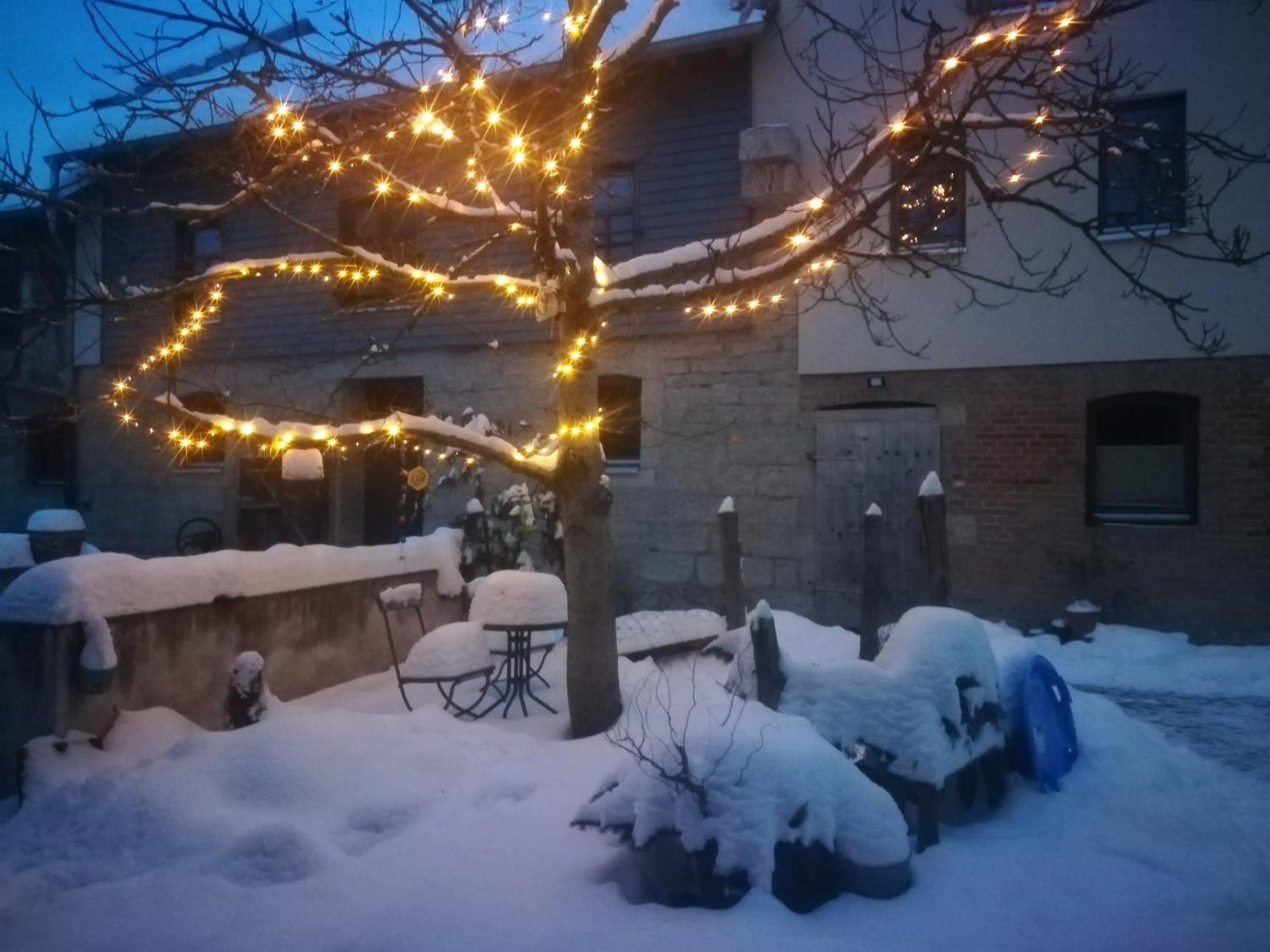 Ferienhof"Waldesel Rippersroda" エクステリア 写真