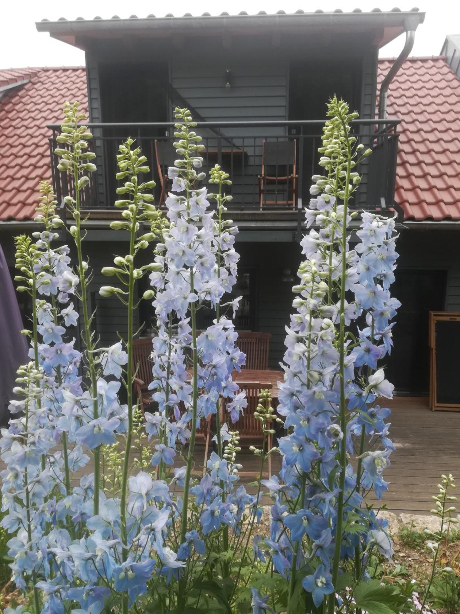 Ferienhof"Waldesel Rippersroda" エクステリア 写真