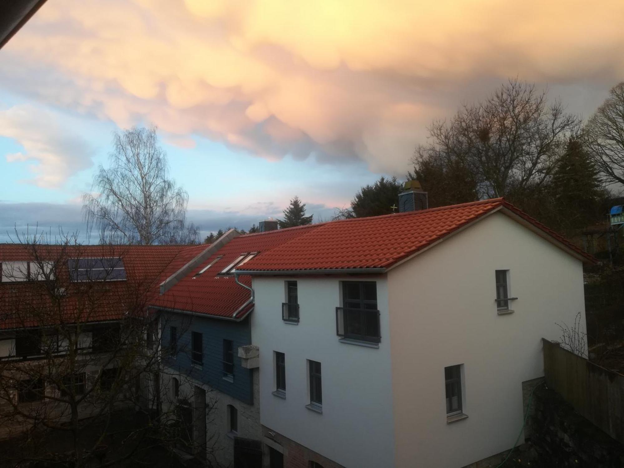 Ferienhof"Waldesel Rippersroda" エクステリア 写真