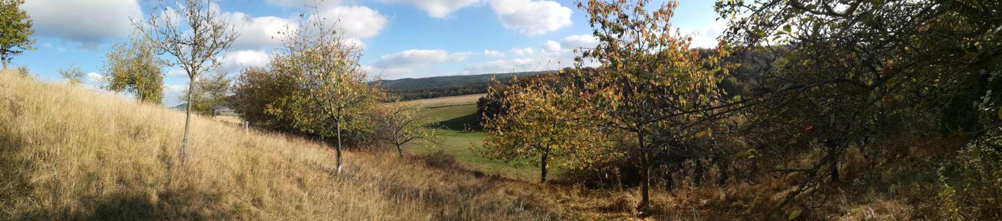 Ferienhof"Waldesel Rippersroda" エクステリア 写真