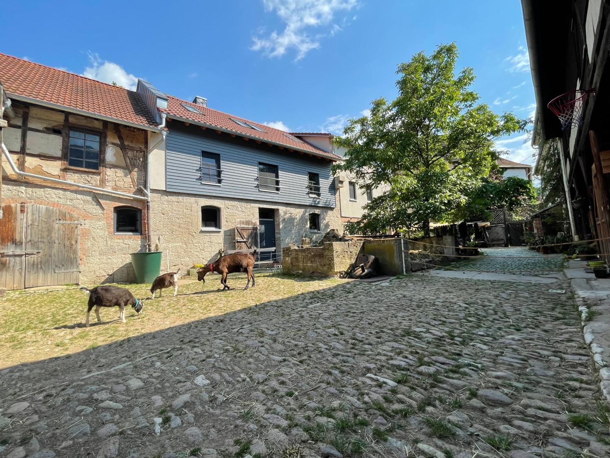 Ferienhof"Waldesel Rippersroda" エクステリア 写真