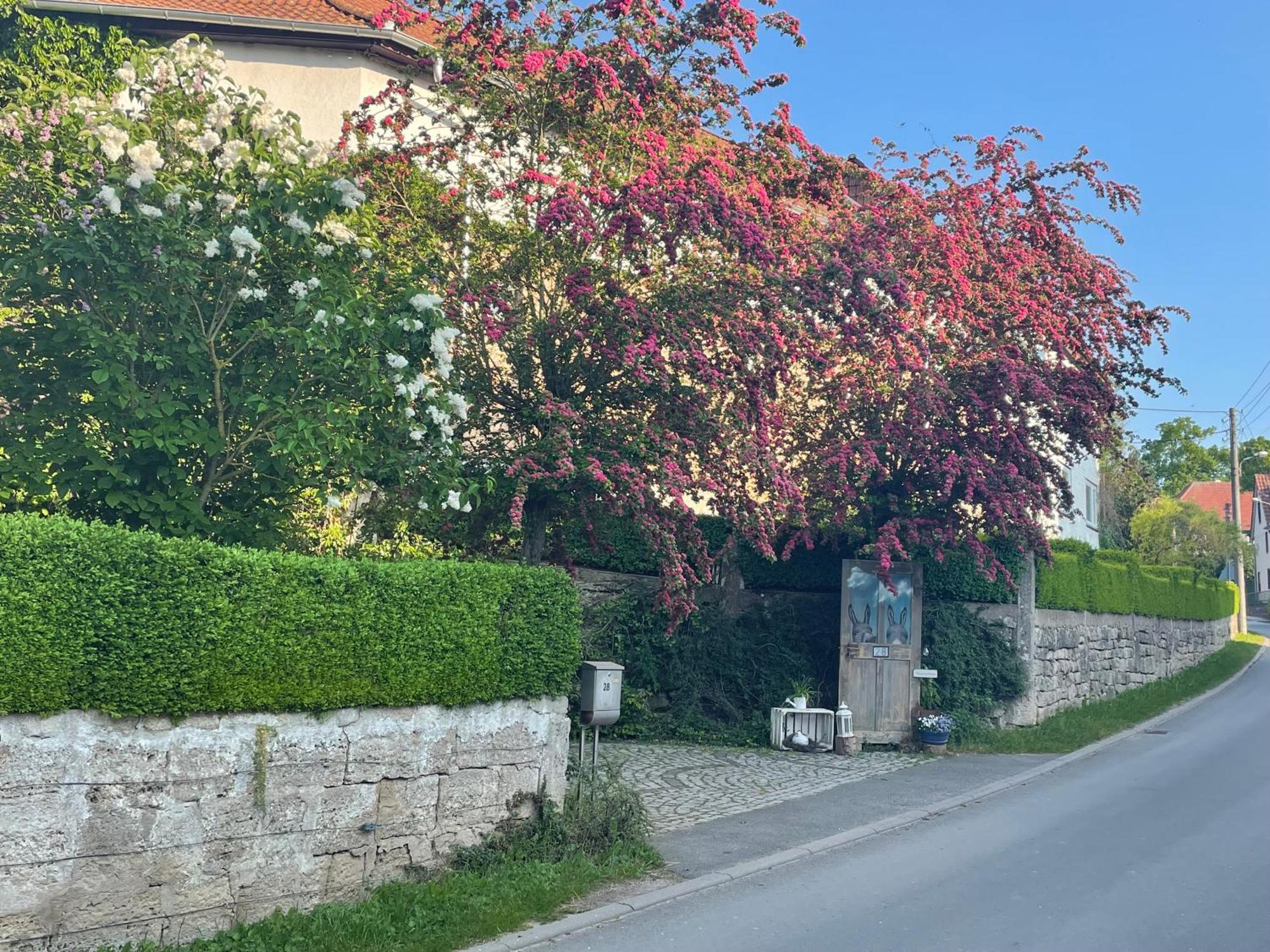 Ferienhof"Waldesel Rippersroda" エクステリア 写真