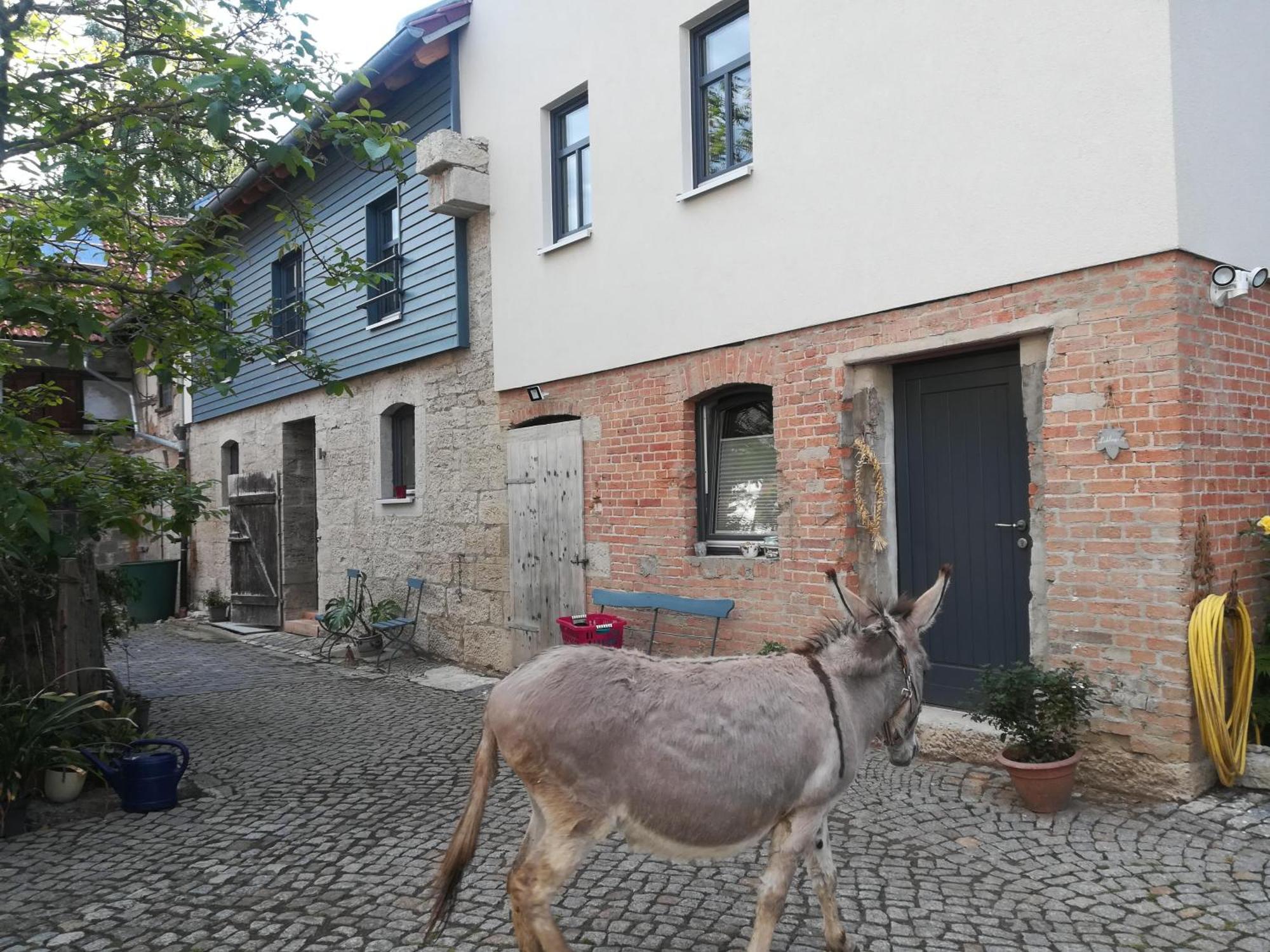Ferienhof"Waldesel Rippersroda" エクステリア 写真