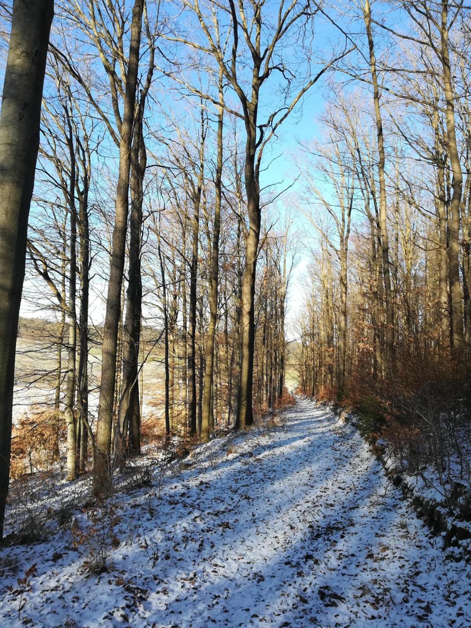 Ferienhof"Waldesel Rippersroda" エクステリア 写真