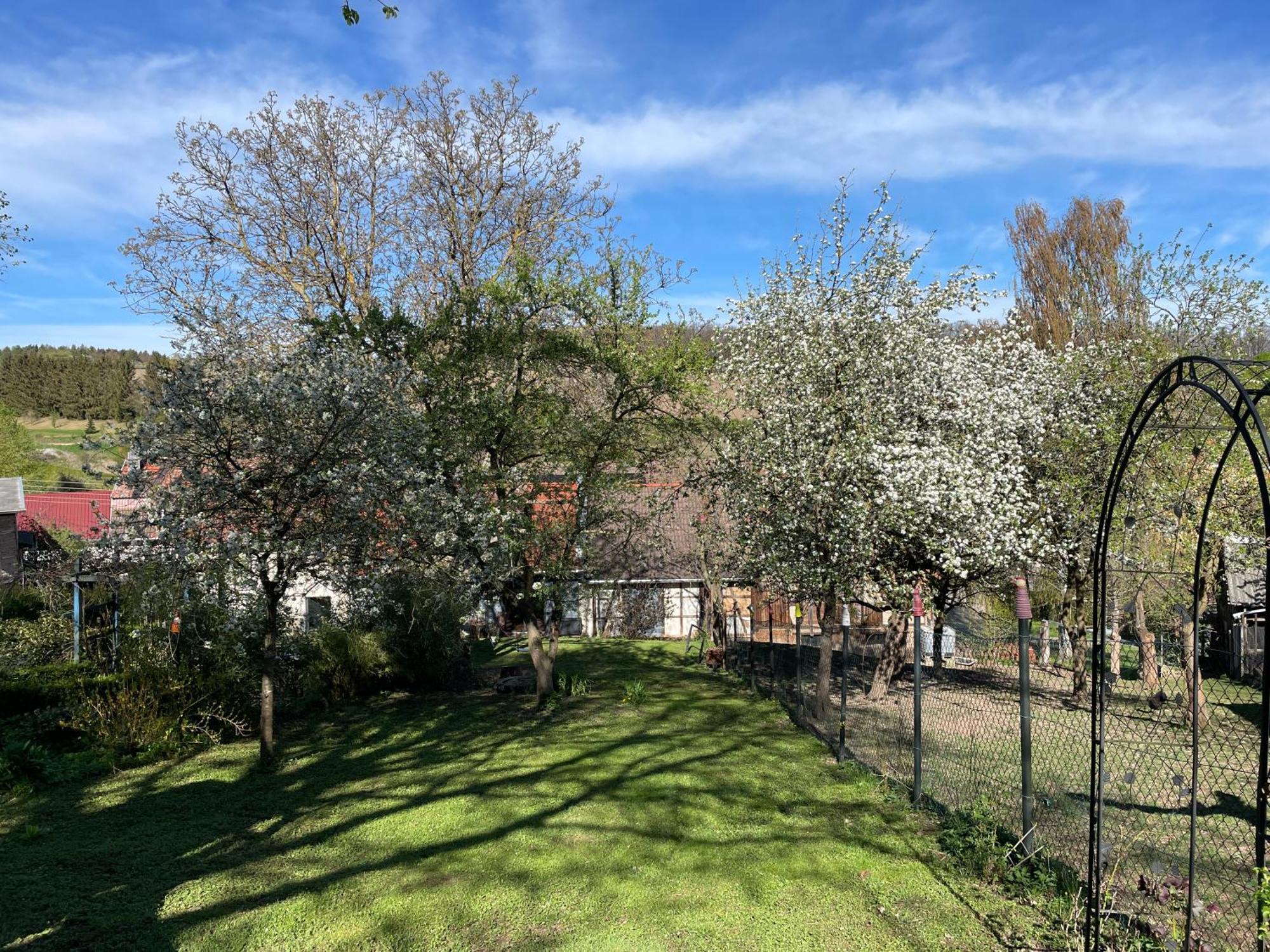 Ferienhof"Waldesel Rippersroda" エクステリア 写真
